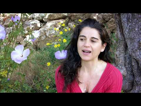 Ibiza Goddess Retreat