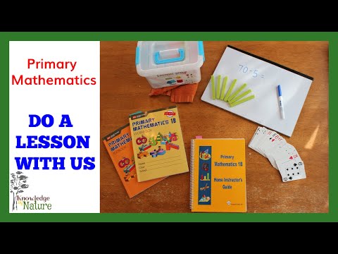 DO A LESSON WITH US:  PRIMARY MATHEMATICS 1B ||  HOMESCHOOL MATH LIVE LESSON