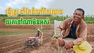 ដាំតែដំណាំវិលល្ងាចលើដី៤០កុង ក៏អាចរស់ស្រួលបាន២ជំនាន់ដែរ...