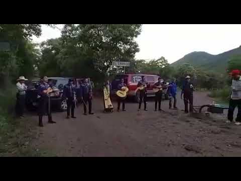 Los recuerdos de mi rancho ( Mariachi tradicional el Carrizo )