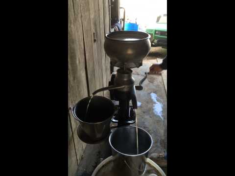 DeLaval U-10 Cream separator in action