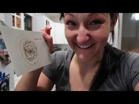 Seattle Reproductive Medicine - Fertility video/presentation/materials