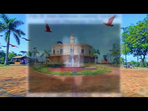 São Pedro do Ivaí: O Santuário Alado da RPPN Fazenda Barbacena