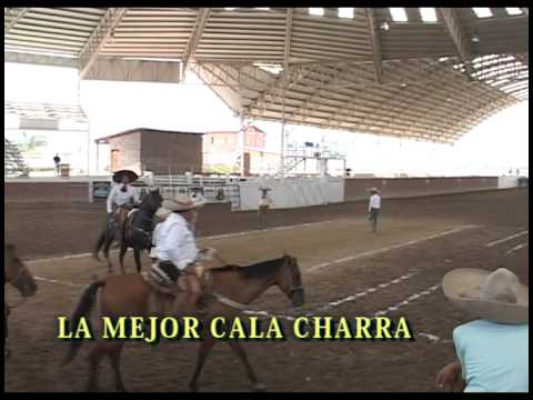 mejor cala de caballo charro en Arena Vallarta