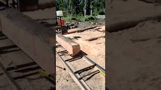 Cut with Tk1300 - Sent by Horacio at Golondrinas