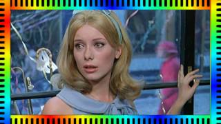 【常緑音楽館便り】#1166　パルム・ドールつながり？