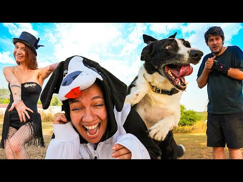 Muhteşem Meslekler ! Köpek Dansçıları