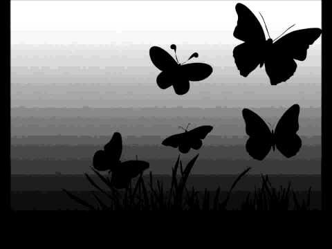 Zate- war alles eine Lüge