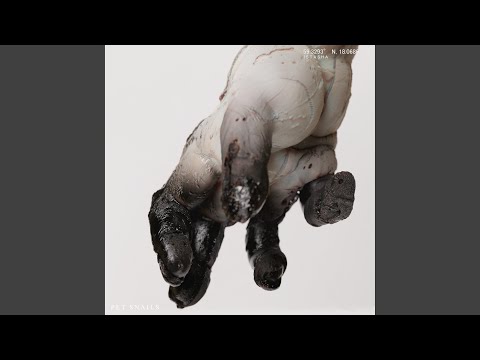 The Fennecs Name is Defiance