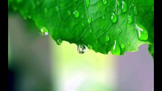 Boney James - Ain't No Sunshine