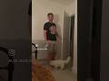 Donut The Cat Is VERY Loud We Believe It S Because He Is Deaf Ps He Is Fine He Just Wants Love
