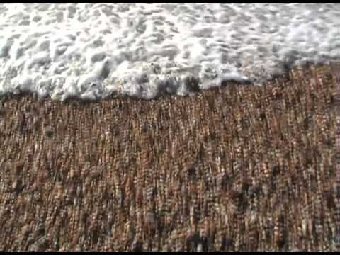 Flammes marines (2009) by Gérard Courant