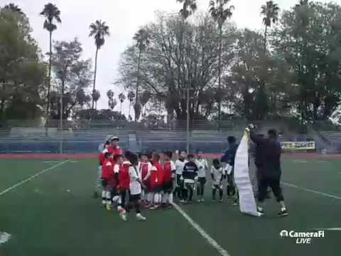 Amistoso(benefico para Cristhian Diaz) cat.U-7 Gallitos FC vs. Chautengo USA