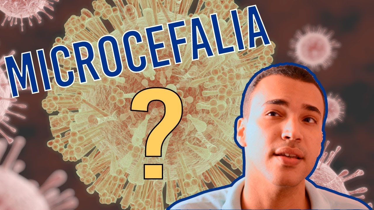 Como o Zika causa microcefalia?