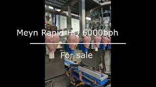 بيع معدات المذبح Meyn Rapid HQ - صورة 4 | Machineryline AE معدات المذبح Meyn Rapid HQ | صورة 4 - Machineryline