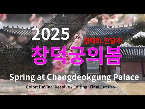 유튜버영상