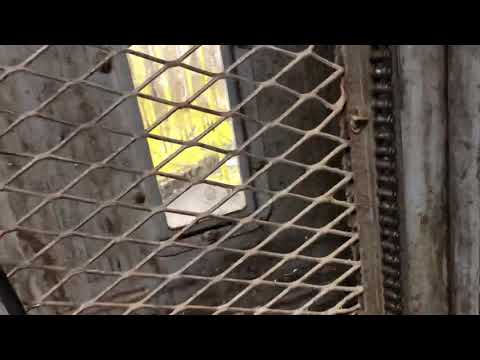 Vintage Esco Relay logic hydraulic Freight elevator - NSM