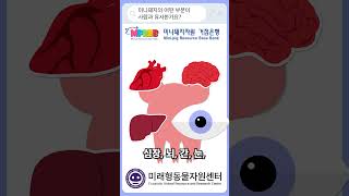 미니돼지의 어떤 부분이 사람과 유사한가요?