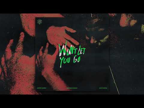 Mat Zo, ARTY vs. Martin Garrix, Matisse & Sadko- Mozart vs. Won't Let You Go (Metris Mashup)