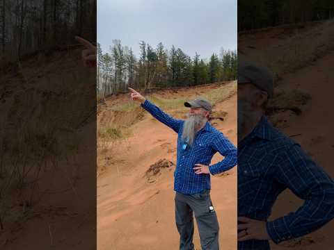 On of the the many large dunes overlooking the shores of Gitche Gumee (Lake Superior) #michigan #up