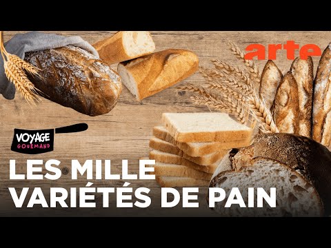 Tout sur le pain | Voyage gourmand | ARTE Évasion