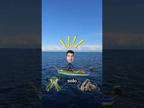 Punto Nemo: L’inferno silenzioso nel cuore dell’oceano