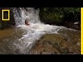 Interview Mireya Mayor National Geographic