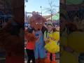Baby Bear Sesameplace Youtubeshorts Sesamestreet Viral Babybear