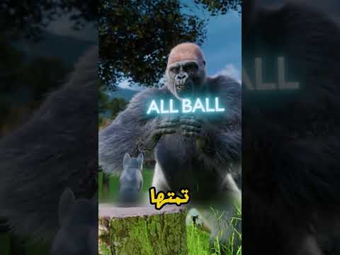 😢 الغوريلا تبكي على القطة الصغيرة!