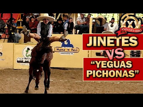 2022 THV Millionaire Championship - Mare Riding on September 3