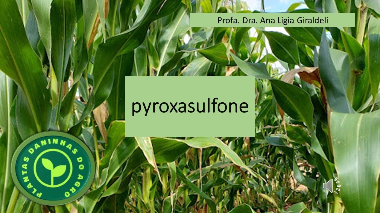 HERBICIDA PYROXASULFONE