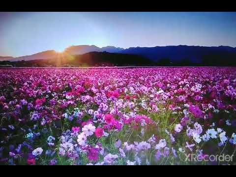 Фрагмент аудиокниги 