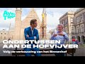 Volg de renovatie op het Binnenhof | Ondertussen aan de Hofvijver