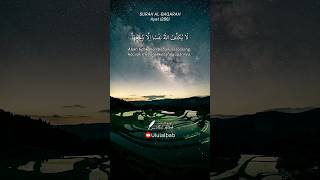 Download lagu Allah tidak membebani seseorang kecuali menurut kemampuannya #quranrecitation #murottalmerdu #shorts mp3 Download lagu Allah tidak membebani seseorang kecuali menurut kemampuannya #quranrecitation #murottalmerdu #shorts mp3