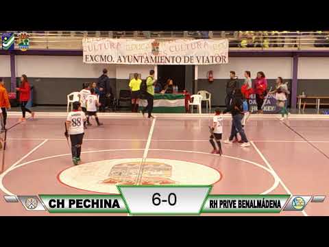 Cto Andalucía alevín Hockey Sala CH Pechina - Privé Benalmadena