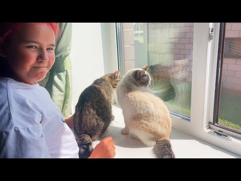 Russia Vlog | Family Time | Russian Village Girls Life | Elin Gabsel | Episode 1