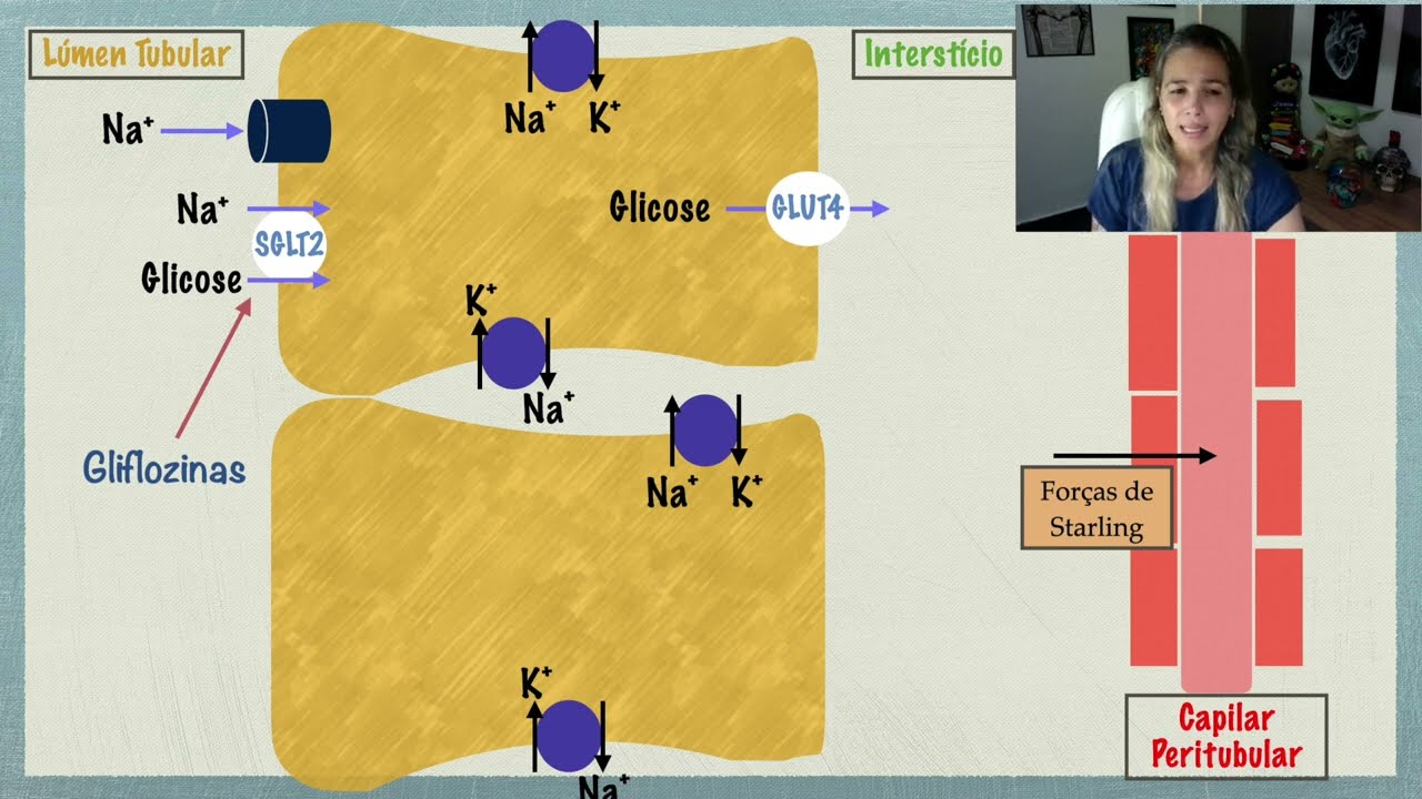 TCP: Reabsorção da Glicose, Diabetes e Gliflozinas