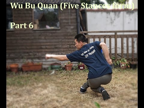 Wu Bu Quan 五步拳 (Five stances form) Part 6 - Master Yan Xin