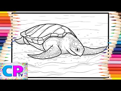 Sea Turtle Coloring Pages/Wild Turtle Coloring/Elektronomia - Summersong 2018 [NCS Release]
