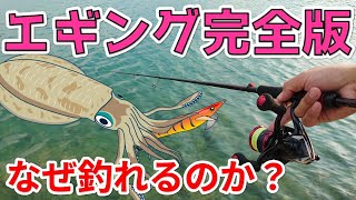 エギングの魅力と技法を徹底解説！アオリイカが釣れる秘密を暴露