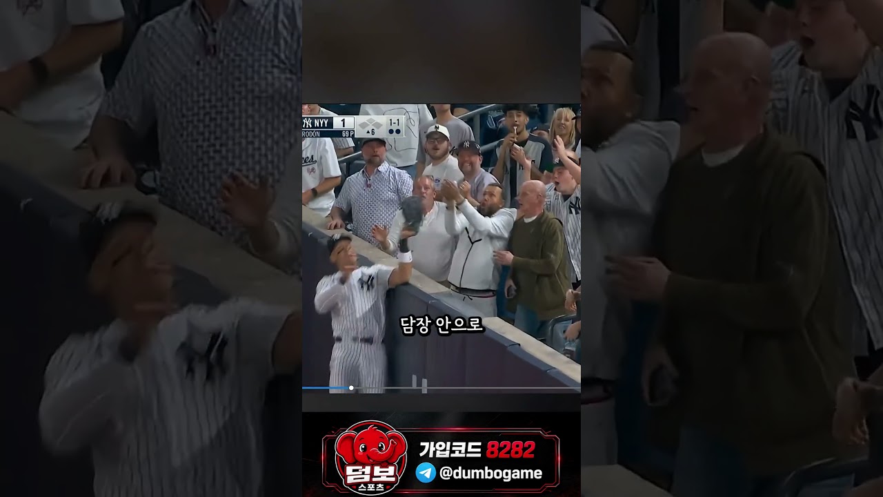 담장 규정 #스포츠 #야구 #스포츠하이라이트 #축구 #농구 #배구