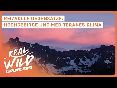 Einmaliges Paradies in der Schweiz: Tessin | Doku