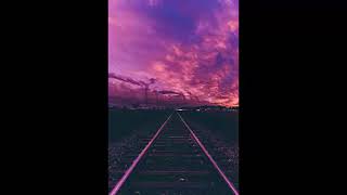 Social Distortion - Winners and Losers