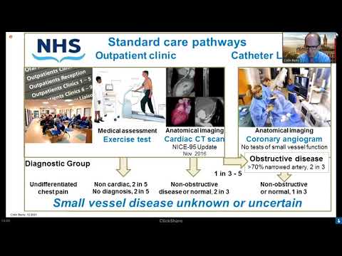 Stratified Medicine in Chest Pain Syndromes | Colin Berry, BSC, MBChB, PhD