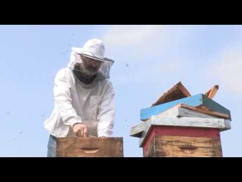 Boja meda ep. 58 16.04.2019. NAJAVA