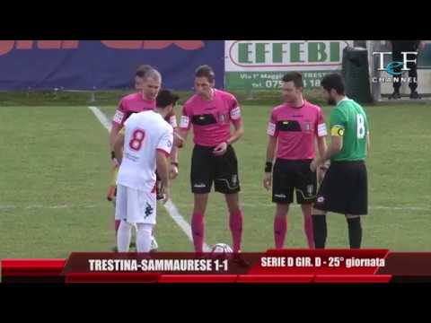 SERIE D GIRONE D: TRESTINA-SAMMAURESE 1-1
