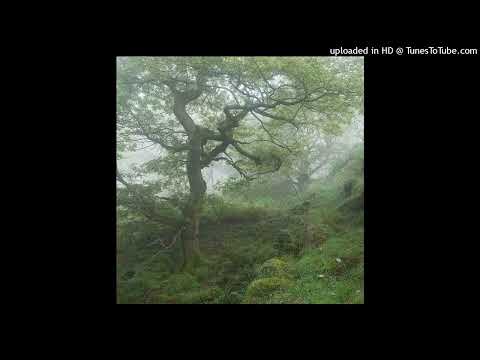 [free for profit] toxi$ + thrill pill + fendiglock + new jazz type beat - anthem