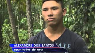 Miniatura do vídeo