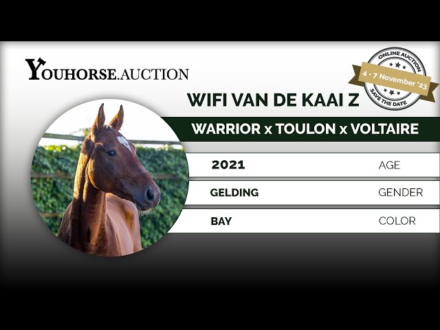 Wifi van de Kaai Z