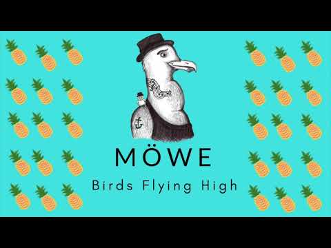MÖWE - Birds Flying High